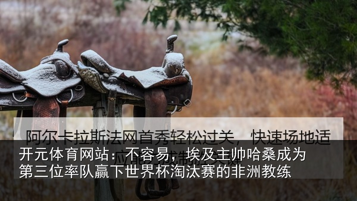 开元体育网站:不容易,埃及主帅相关情况队赢下世界杯淘汰赛的非洲教练