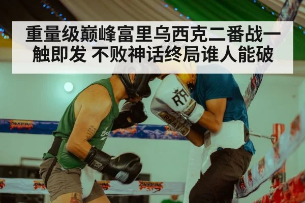 重量级巅峰富里乌西克二番战一触即发 不败神话终局谁人能破