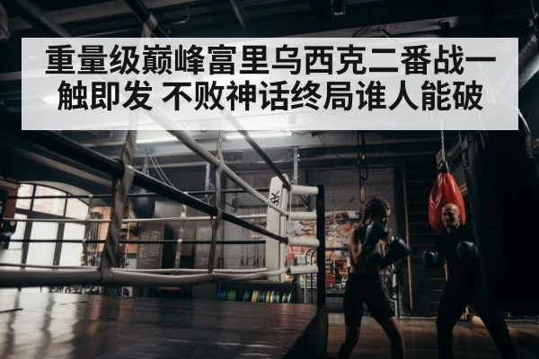boxer training