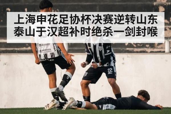 上海申花足协杯决赛逆转山东泰山于汉超补时绝杀一剑封喉
