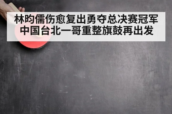 林昀儒伤愈复出勇夺总决赛冠军 中国台北一哥重整旗鼓再出发